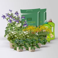 Pflanzenkreation Frühlingsmagie, 9 Pflanzen inkl. Erde und Dünger