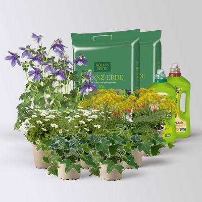 Pflanzenkreation Frühlingsmagie, 9 Pflanzen inkl. Erde und Dünger