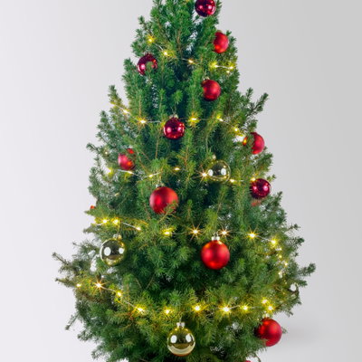 Weihnachtsbäumchen inkl. Deko, rot-gold, Topf-Ø 25 cm, Höhe ca. 100 cm Weihnachtsbäumchen inkl. Deko, rot-gold, Topf-Ø 25 cm, Höhe ca. 100 cm