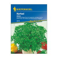 Gemüsesamen, Kerbel 'Massa'