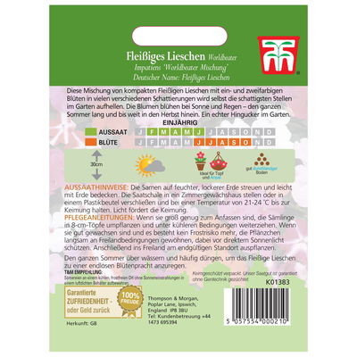 Thompson & Morgan Blumensamen Fleißiges Lieschen Worldbeater Thompson & Morgan Blumensamen Fleißiges Lieschen Worldbeater