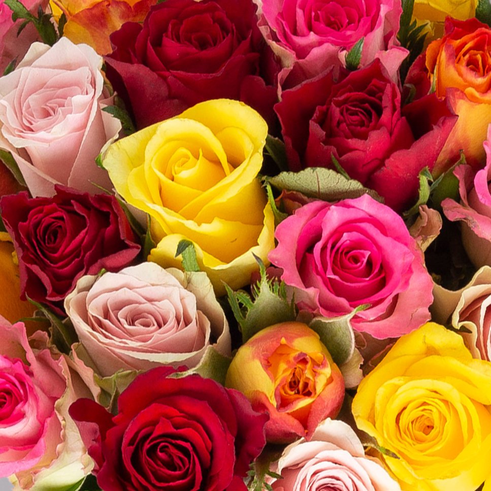 Blumenbund mit bunt gemischten Rosen, 25er-Bund, inkl. gratis Grußkarte