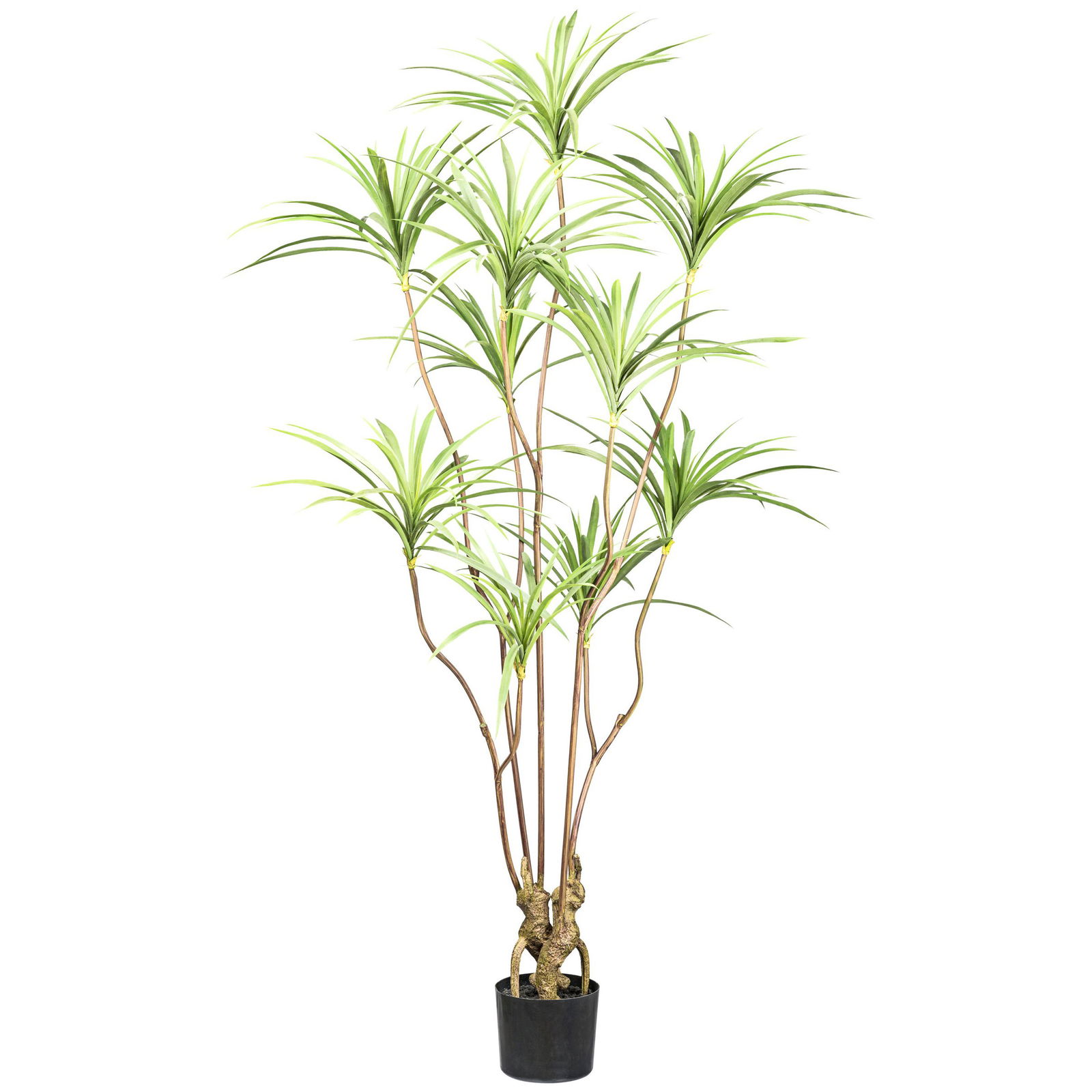 Kunstpflanze Dracaena im Topf, Höhe ca. 180 cm