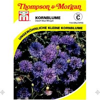 Thompson & Morgan Blumensamen Kornblume Dwarf Blue Midget