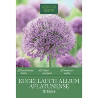 Iranlauch Allium Aflatunense, 15 Blumenzwiebeln Iranlauch Allium Aflatunense, 15 Blumenzwiebeln