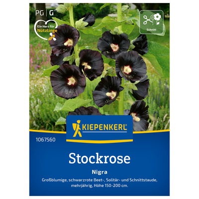 Blumensamen, Stockrose 'Nigra', schwarzrot