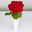 Blumenbund mit Rosen 'Red Naomi', 10er-Bund, rot, inkl. gratis Grußkarte