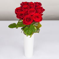 Blumenbund mit Rosen 'Red Naomi', 10er-Bund, rot, inkl. gratis Grußkarte