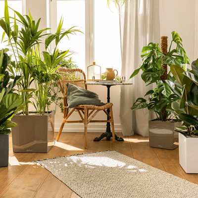 Lechuza 'Cube Premium 50', taupe, ca. 49 x 49 x H 49,5 cm