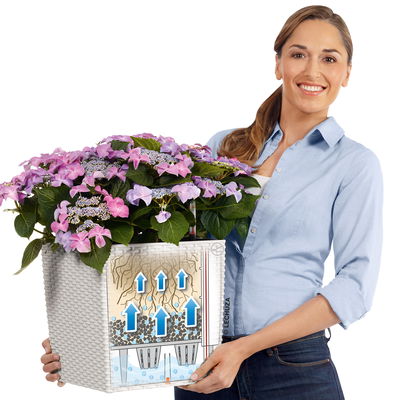 Lechuza 'Cube Cottage 30', sandbraun, ca. 29,5 x 29,5 x H 30 cm Lechuza 'Cube Cottage 30', sandbraun, ca. 29,5 x 29,5 x H 30 cm