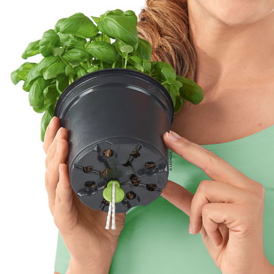 Lechuza 'Cube Color Triple', sandbraun, ca. 40 x 14 x H 13,5 cm