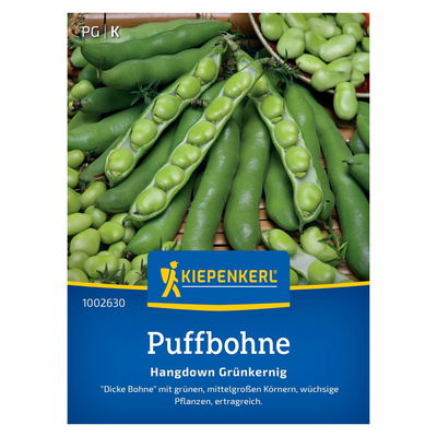 Saatgut, Puffbohne 'Hangdon Grünkernig' Saatgut, Puffbohne 'Hangdon Grünkernig'