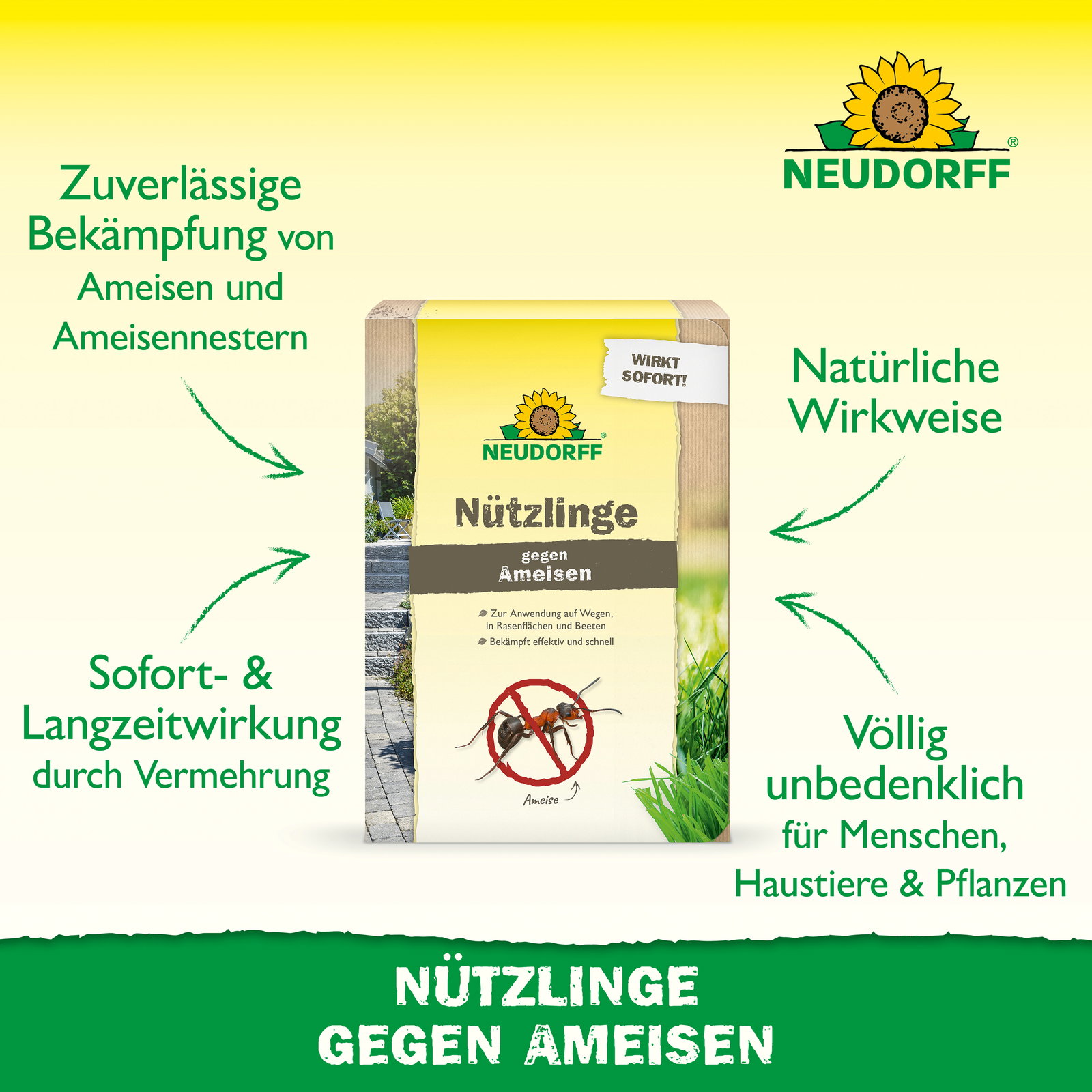 Neudorff Bestell-Set Nützlinge gegen Ameisen, 5 Mio Stück Neudorff Bestell-Set Nützlinge gegen Ameisen, 5 Mio Stück