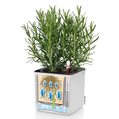 Lechuza 'Green Wall Home Kit Color', weiß, ca. 48 x 15 x H 14 cm Lechuza 'Green Wall Home Kit Color', weiß, ca. 48 x 15 x H 14 cm