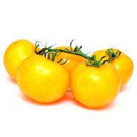 Bio Kirschtomate 'Yellow Canary', Topf-Ø 12 cm, 3 Pflanzen