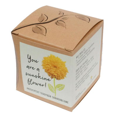 Anzuchtset Teddybär-Sonnenblume, Saatgut und Anzuchterde inklusive Anzuchtset Teddybär-Sonnenblume, Saatgut und Anzuchterde inklusive