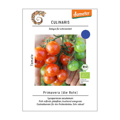 Tomatensamen, Cocktailtomate 'Primavera' Tomatensamen, Cocktailtomate 'Primavera'