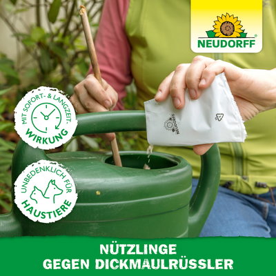 Neudorff Bestell-Set Nützlinge gegen Dickmaulrüssler, 10 Mio Stück Neudorff Bestell-Set Nützlinge gegen Dickmaulrüssler, 10 Mio Stück