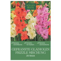 Kölles Beste Blumenknollen, Gefranste Gladiolen Frizzle Mischung Kölles Beste Blumenknollen, Gefranste Gladiolen Frizzle Mischung