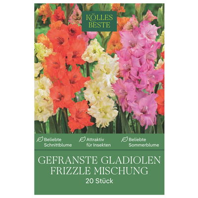 Kölles Beste Blumenknollen, Gefranste Gladiolen Frizzle Mischung Kölles Beste Blumenknollen, Gefranste Gladiolen Frizzle Mischung