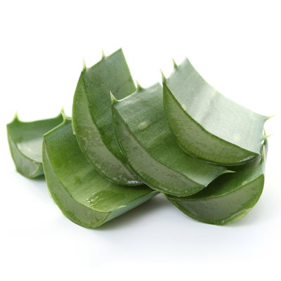 Blu Bio Aloe 'Sweet', Topf-Ø 12 cm, 2er-Set Blu Bio Aloe 'Sweet', Topf-Ø 12 cm, 2er-Set