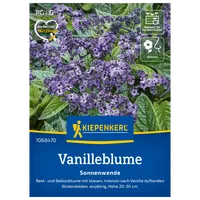 Kiepenkerl Saatgut Vanilleblume 'Sonnenwende'