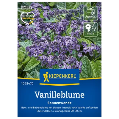 Kiepenkerl Saatgut Vanilleblume 'Sonnenwende'