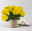 Chrysanthemen 'Chrysanne®Grandezza Yellow', gelb, Topf-Ø 13 cm, 4 Pflanzen