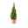 Zuckerhutfichte, Picea glauca 'Conica', Topf 5 Liter