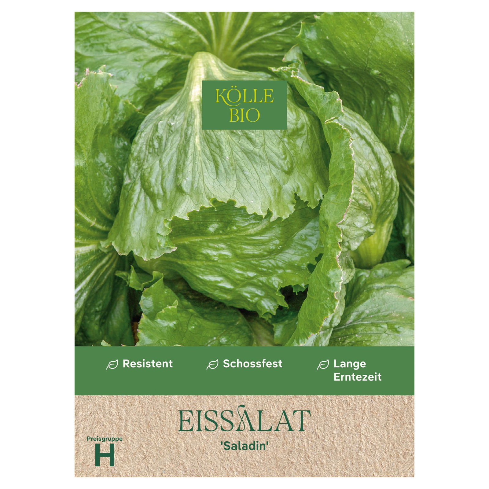 Kölle Bio Gemüsesamen, Eissalat 'Saladin'