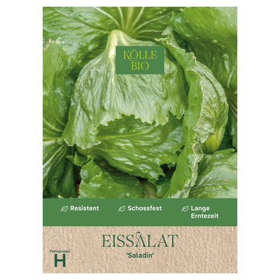 Kölle Bio Gemüsesamen, Eissalat 'Saladin'