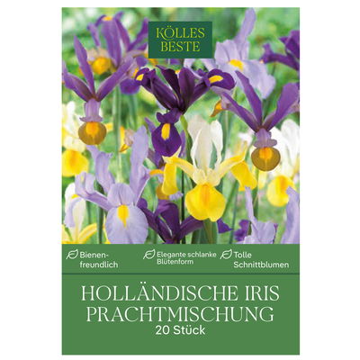 Holländische Iris Prachtmischung, 20 Blumenzwiebeln Holländische Iris Prachtmischung, 20 Blumenzwiebeln