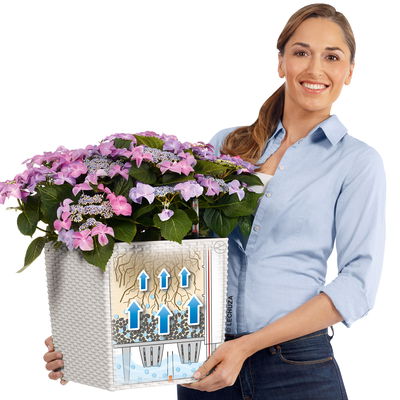 Lechuza 'Cube Cottage 30', graphitschwarz, ca. 29,5 x 29,5 x H 30 cm