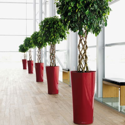 Lechuza 'Delta 40', scarlet-rot, ca. 39 x H 75,5 cm