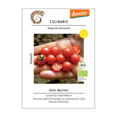 Tomatensamen, Wildtomate 'Rote Murmel' Tomatensamen, Wildtomate 'Rote Murmel'