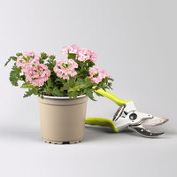 Pflanzenkreation 'Duft', 12 Pflanzen inkl. Erde und Dünger