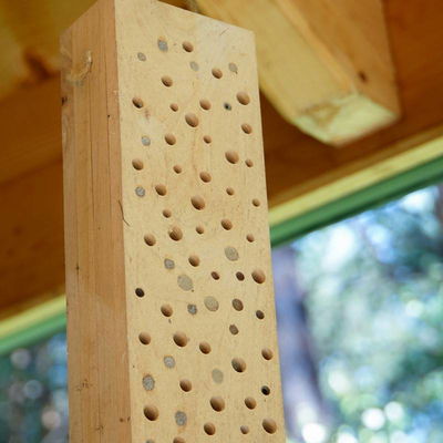 Kleines Insektenhotel, natur, Erle, 10 x 6 x H 22 cm Kleines Insektenhotel, natur, Erle, 10 x 6 x H 22 cm