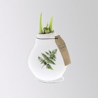 Amaryllis in Wachs, Dekor 'Natursalz', Blüte weiß