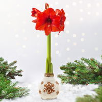 Amaryllis in Wachs, Dekor 'Snow Flakes', handbemalt, Blüte rot