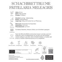 Schachbrettblume (Fritillaria Meleagris) lila/weiß, 25 Blumenzwiebeln