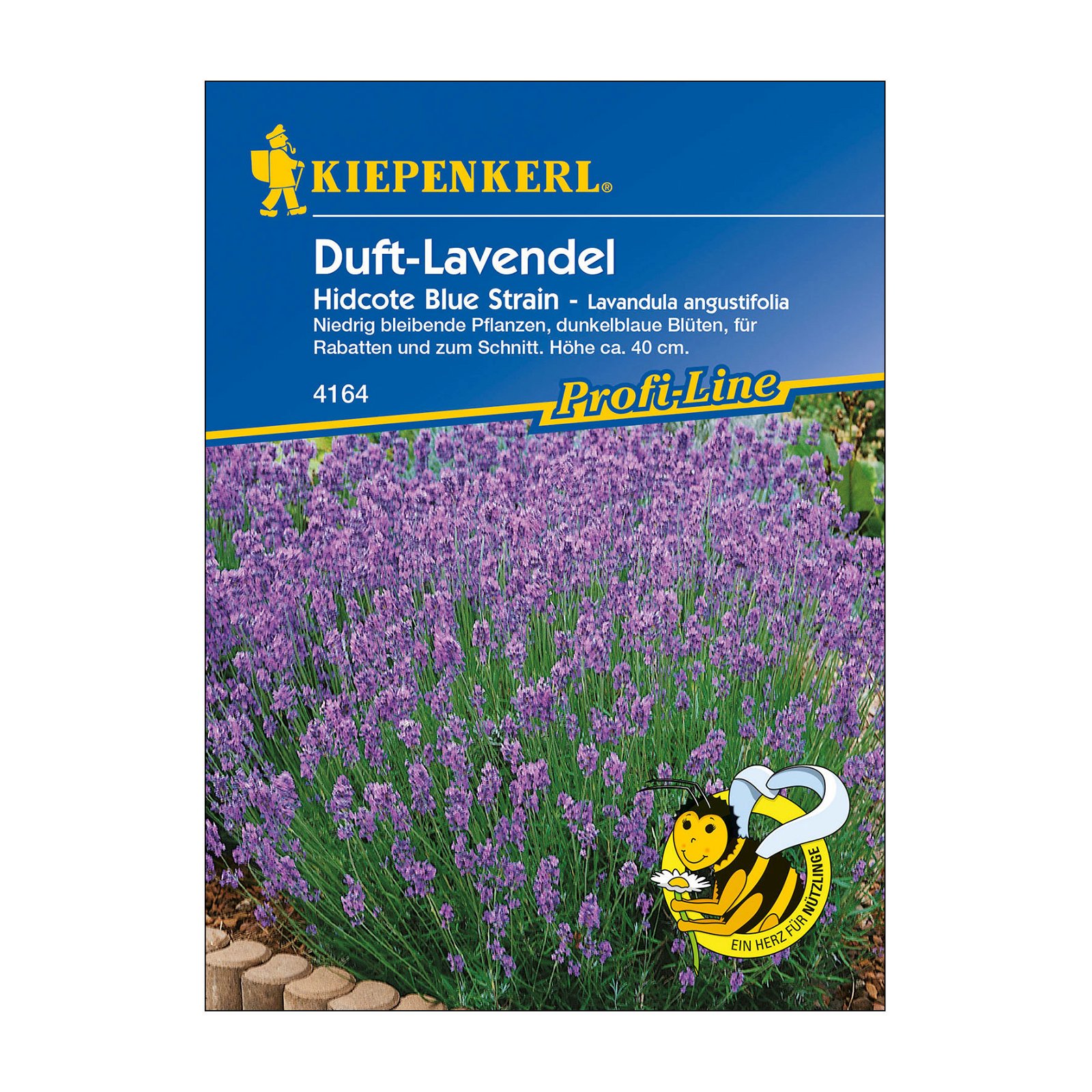 Blumensamen, Lavendel 'Hidcote Blue Strain', lila