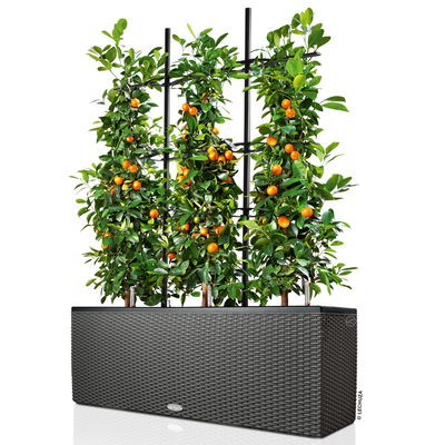 Lechuza Rankgitter 'Trio Cottage 30', schwarz, ca. 86 x H 135 cm