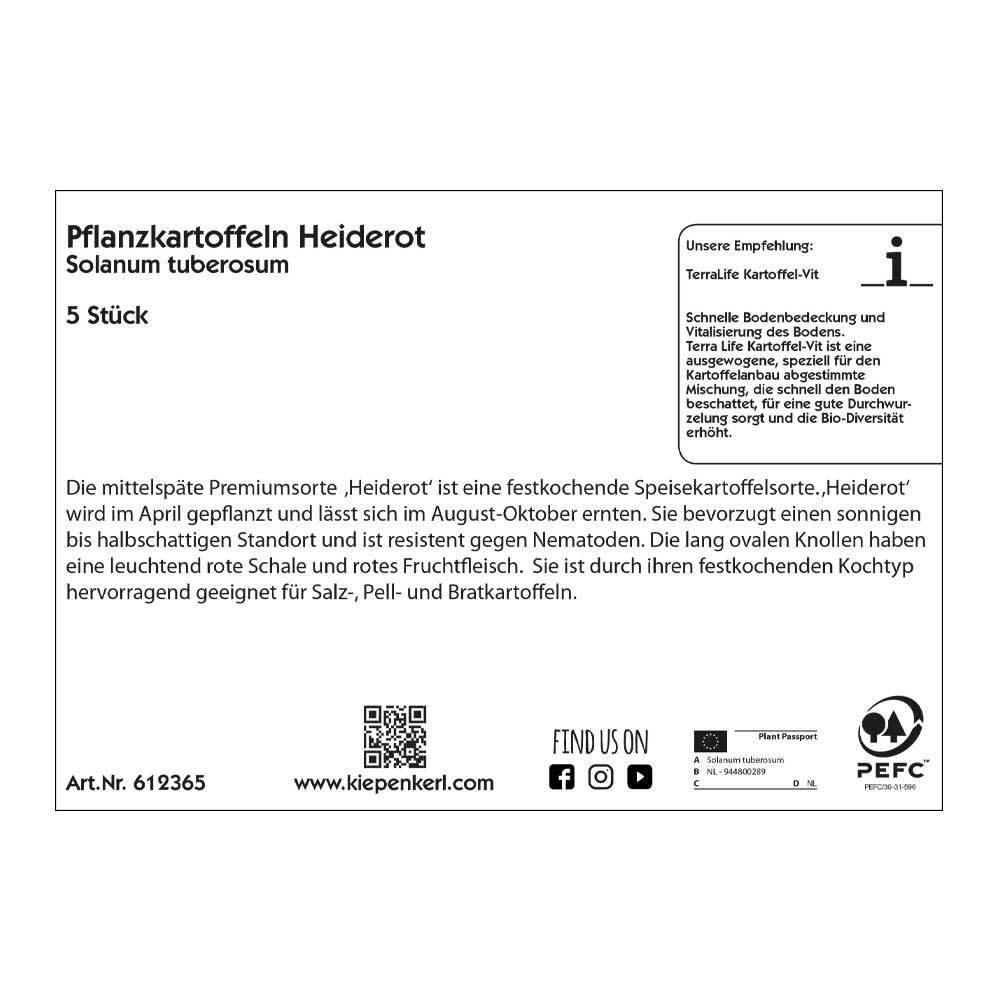 Pflanzkartoffel, Solanum tuberosum 'Heiderot', rot, 5 Stück, 425 g