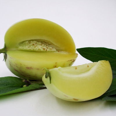 Blu Bio Pepino, Topf-Ø 12 cm, 3er Set