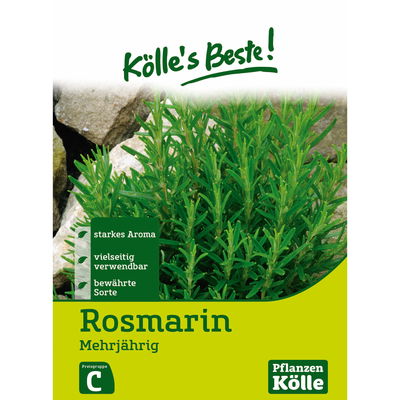 Kölles Beste Rosmarin mehrjährig, 6 g Kölles Beste Rosmarin mehrjährig, 6 g
