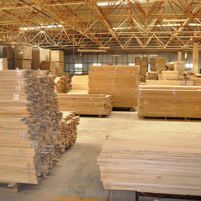 Blu Bio Blauglockenbaum 'NordMax21‘ ®