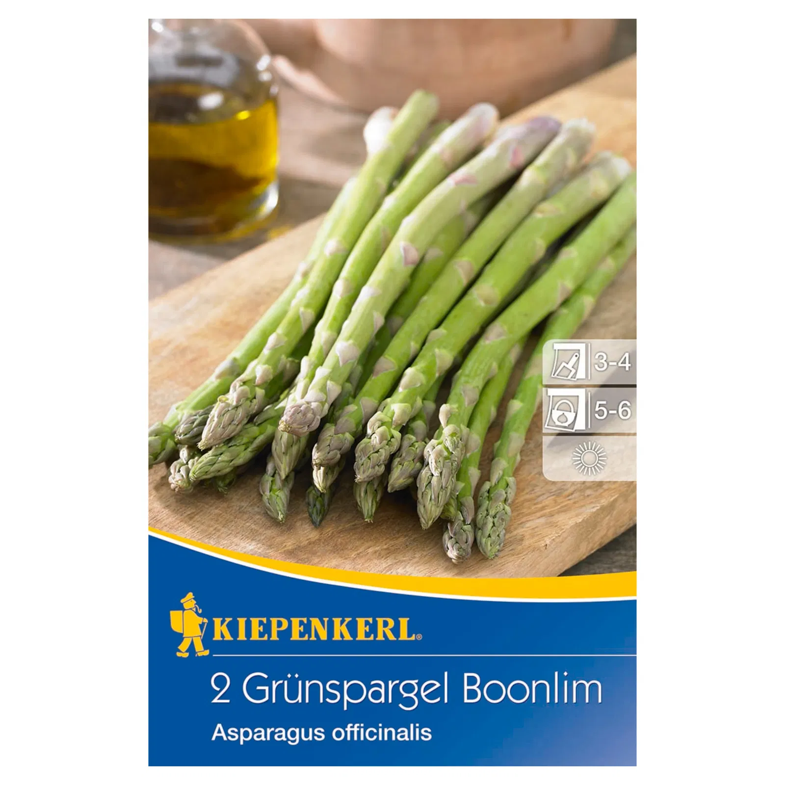 Kiepenkerl Grüner Spargel 'Boonlim®', grün