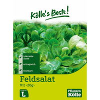 Kölle's Beste Feldsalat 'Vit', 20 g