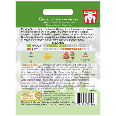 Samenmischung, Eisenkraut 'Scentsation', blau-weiß
