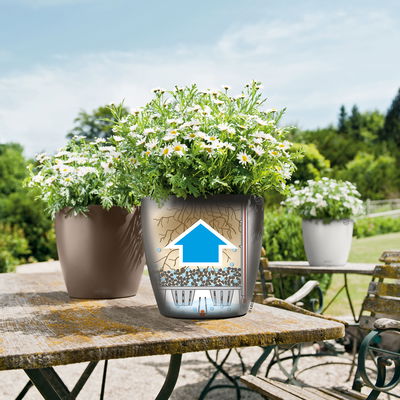 Lechuza 'Classico Color 28', muskat, ca. Ø 27,5 x H 26 cm